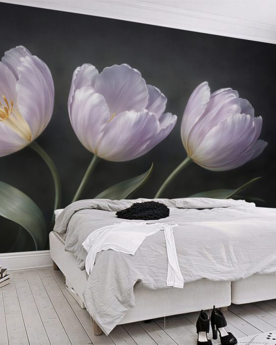 Fototapeta jasne tulipany na czerni