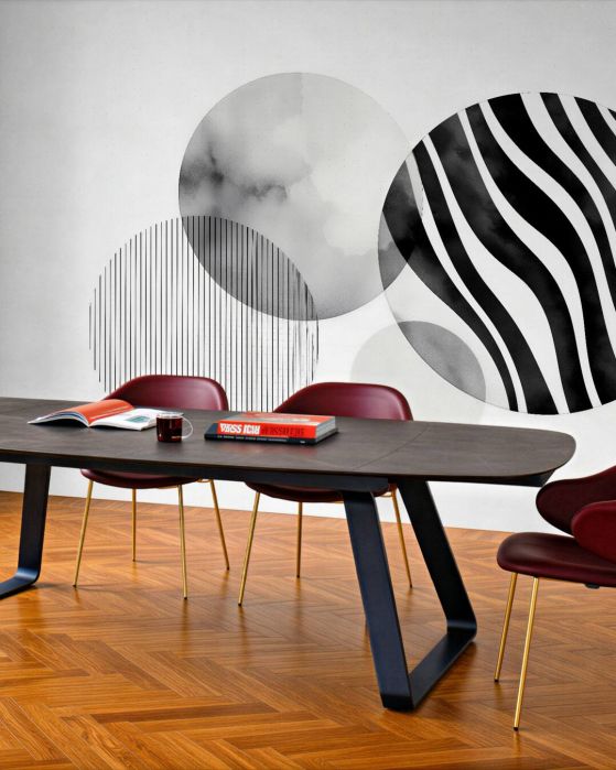 Fototapeta geometryczna zebra w szarościach