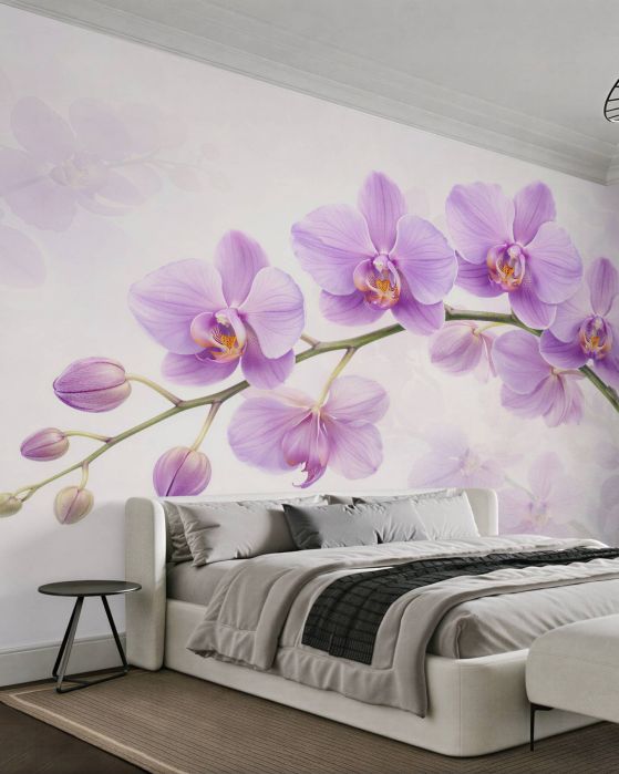 Fototapeta delikatne lilowe orchidee