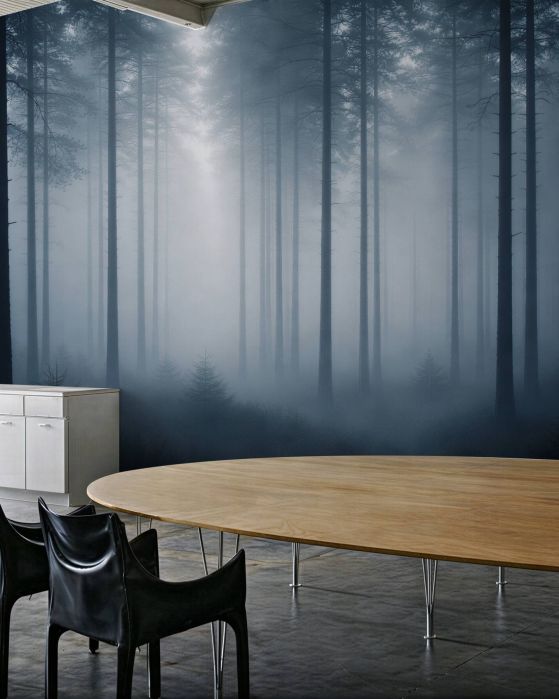 Fototapeta mistyczny las we mgle