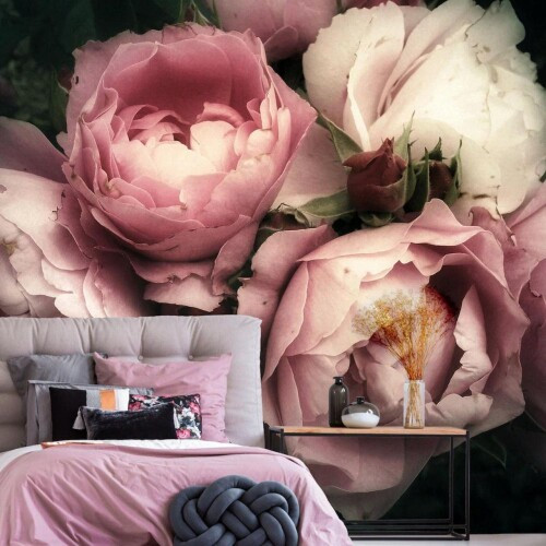 Fototapeta Różowy, kwiat i płatek