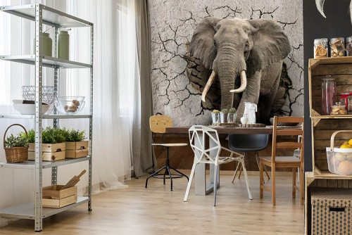 Fototapeta Sala, projektowanie wnętrz i słoń