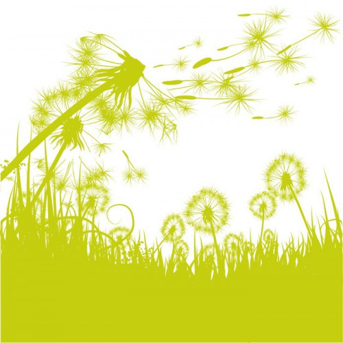 Fototapeta Dandelion Grass,