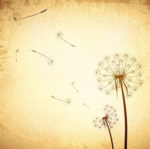 Fototapeta Vintage Background Dandelion