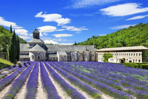 Fototapeta Abbaye de Senanque z lawendowego pola, Provence, Francja