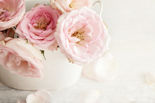 Fototapeta Różowe kwiaty w wazonie