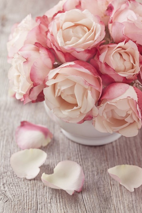 Fototapeta Różowe róże