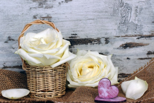 Fototapeta Białe róże z sercem