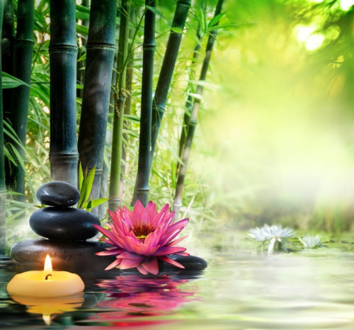 Fototapeta Masaż w przyrodzie - lilia, kamienie, bambus - zen koncepcji