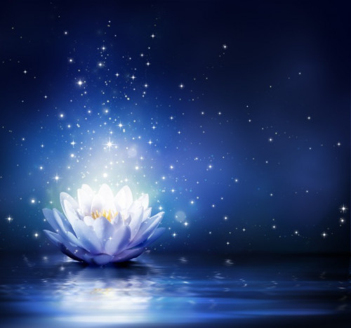 Fototapeta Magiczny kwiat na wodzie - niebieski