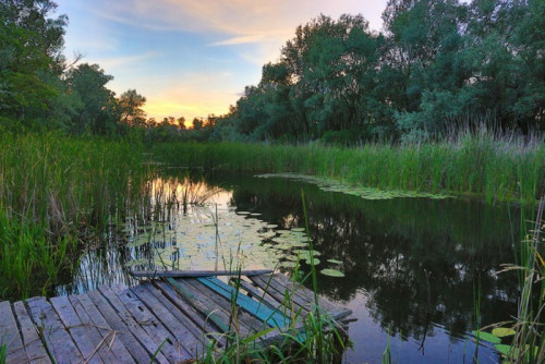 Fototapeta Zachód słońca nad rzeką