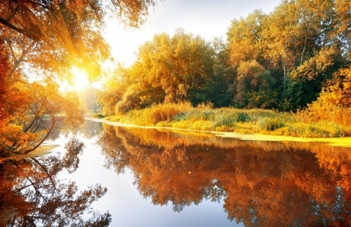 Fototapeta Rzeka w lesie jesienią wspaniałe