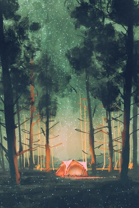 Fototapeta Camping w lesie w nocy z gwiazdami i świetliki, ilustracja, obraz cyfrowy