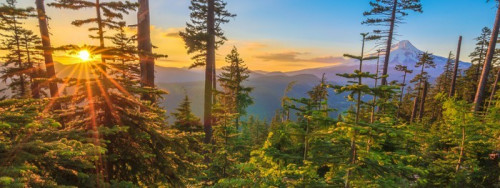 Fototapeta Piękne Vista Mount Hood w stanie Oregon, USA.