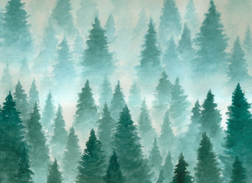 Fototapeta Ręcznie rysowane akwarela ilustracja. krajobraz mętny, mistyczny, iglasty las na ye halny. chmura, mgła, drzewa, zimno, zima