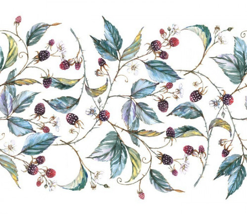 Fototapeta Ręcznie rysowane akwarela Jednolite ornament z naturalnych motywów: oddziały, liści jeżyny i jagody. Powtarzające dekoracyjny ilustracja, granicy z jagód i liści