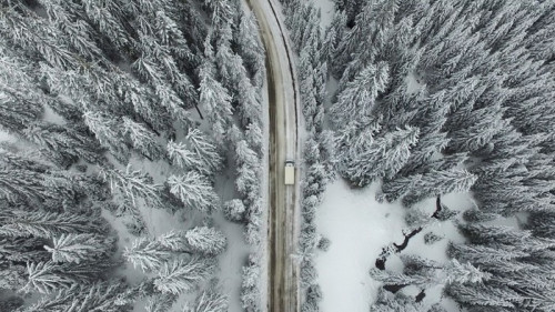 Fototapeta Snowy drogowego z samochodu w lesie