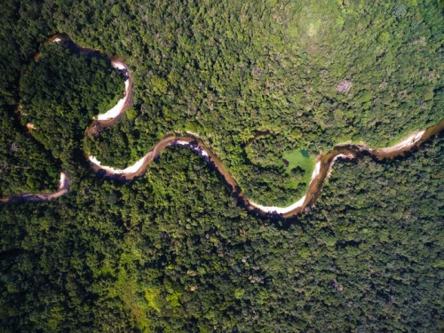 Fototapeta Widok z lotu ptaka rzeki w tropikalnych w Brazylii