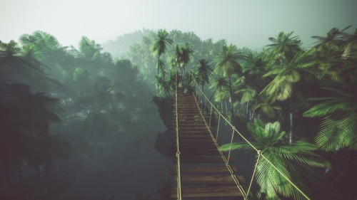 Fototapeta Rope bridge in misty jungle with palms. Backlit.