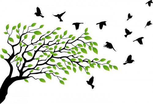 Fototapeta Drzewo z ptaków latania