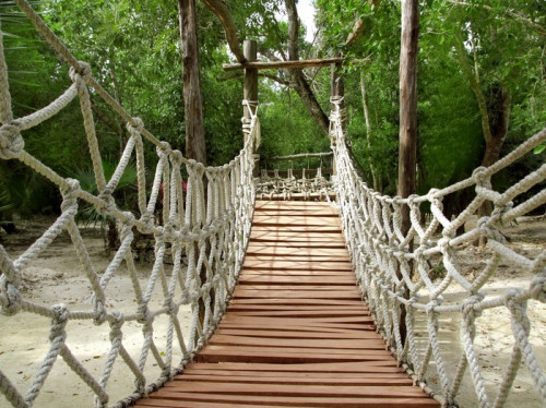 Fototapeta Przygoda drewniane dżungli Most lina zawieszenia