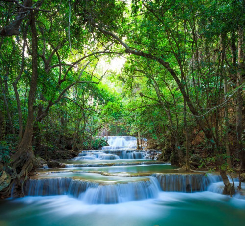Fototapeta Gęstego lasu wodospad w Kanchanaburi, Tajlandia