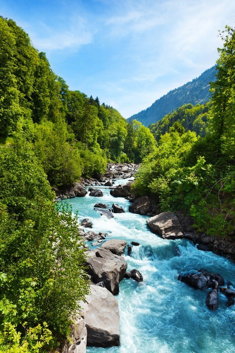 Fototapeta Żywe szwajcarski krajobraz z czystego strumienia, rzeki
