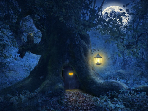 Fototapeta Dom drzewo w magicznym lesie