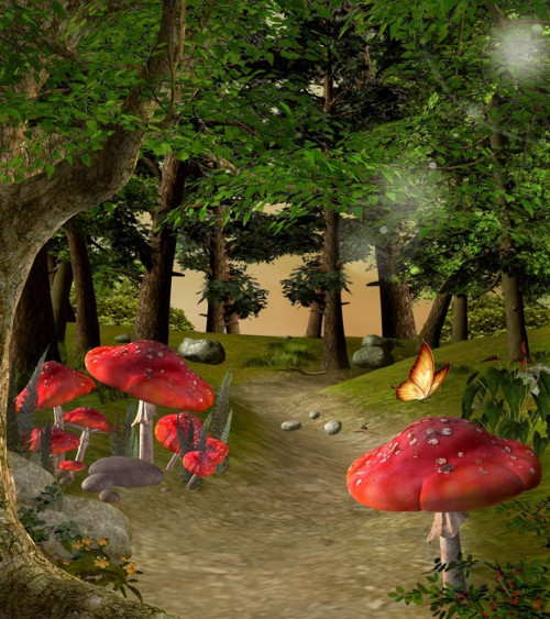 Fototapeta Charakter serii Zaczarowana - Pathway w magicznym lesie