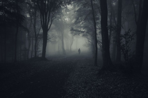Fototapeta Ciemny las z Spooky człowiek chodzenia na ścieżce