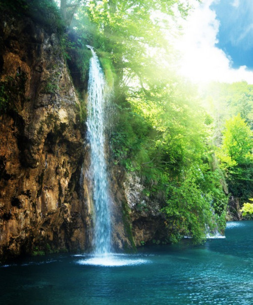 Fototapeta Wodospad w głębokim lesie