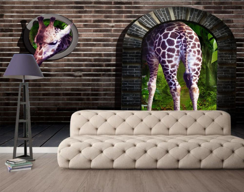 Fototapeta żyrafa, giraffidae i Ściana