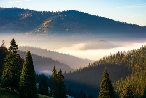 Fototapeta Wspaniały mglisty wschód słońca w górach. piękna jesień sceneria apuseni naturalny park w Romania