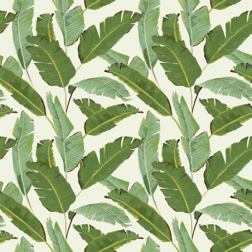 Fototapeta Seamless Pattern. Tropical Palm pozostawia tła. Liście bananowca