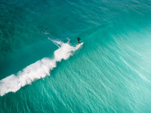 Fototapeta Surfing - czysta fala