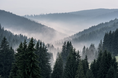 Fototapeta Mglisty krajobraz. widok z gór do doliny pokrytej mglisty.