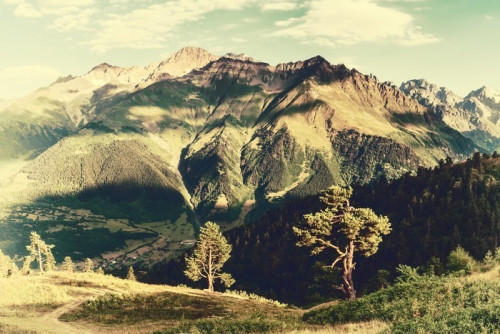 Fototapeta Archiwalne krajobraz z drzew i gór