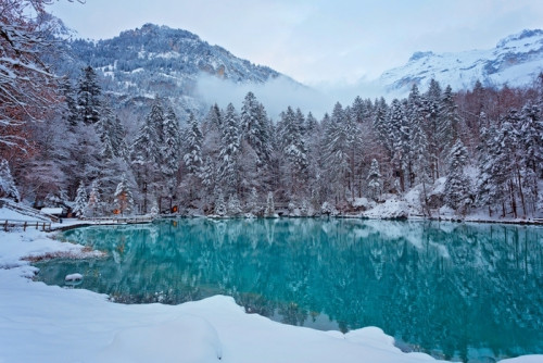 Fototapeta Blausee im winter, schweiz