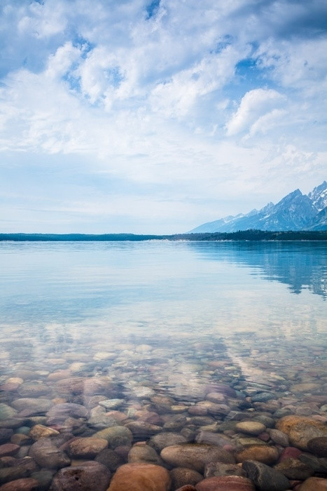 Fototapeta Park Narodowy Grand Teton