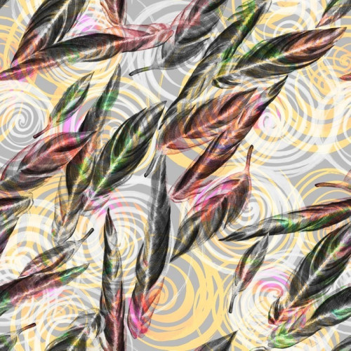 Fototapeta Tropical liści szwu. Barwny liście egzotycznych Calathea WHITESTAR roślin na spiralnym wzorem geometrycznym, mieszane efekt. Druk tekstylny.