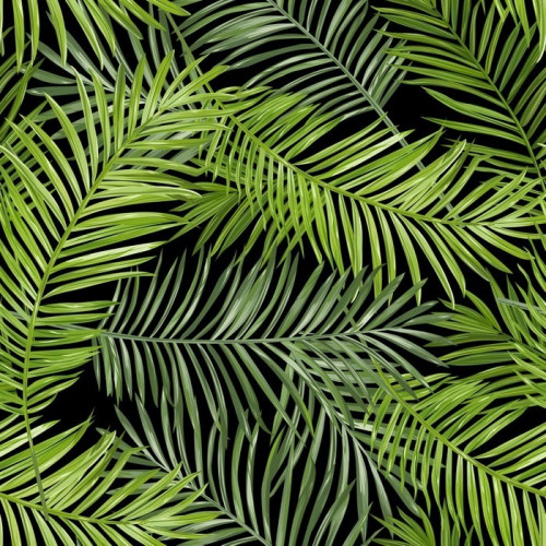 Fototapeta Seamless Pattern. Tropical Palm pozostawia tła. Vector Background