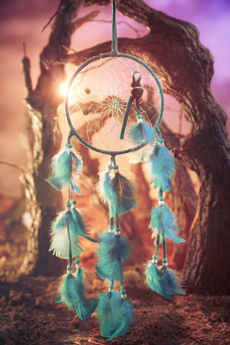 Fototapeta Dreamcatcher w lesie o zachodzie słońca