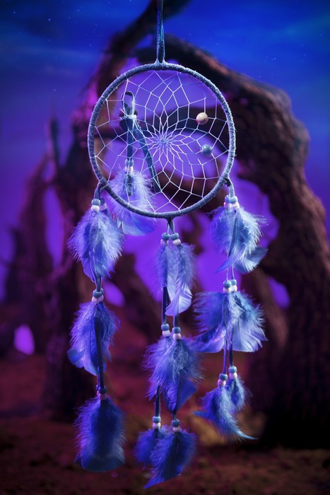 Fototapeta Dream Catcher w lesie w nocy