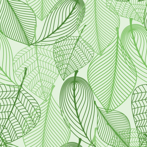Fototapeta Zielone liście bezszwowe tło wzór