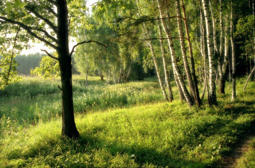 Fototapeta Rosyjski bajki