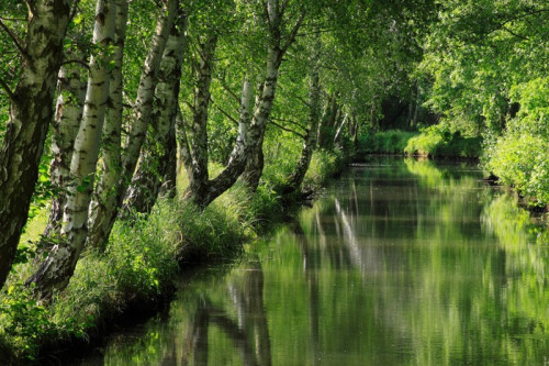 Fototapeta Spreewald