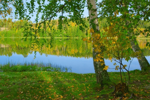 Fototapeta Brzeg pięknego jeziora. Finlandia (3)