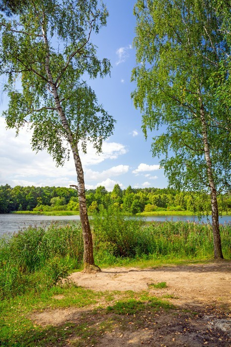 Fototapeta Przepiękna sceneria jeziora w Polsce