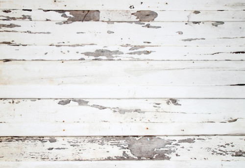 Fototapeta Białe tekstury drewna z naturalnych wzorów