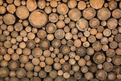 Fototapeta Ściana z drewnianych bali ułożonych